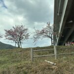 住んでわかった、佐々町の“ちょうどよさ”